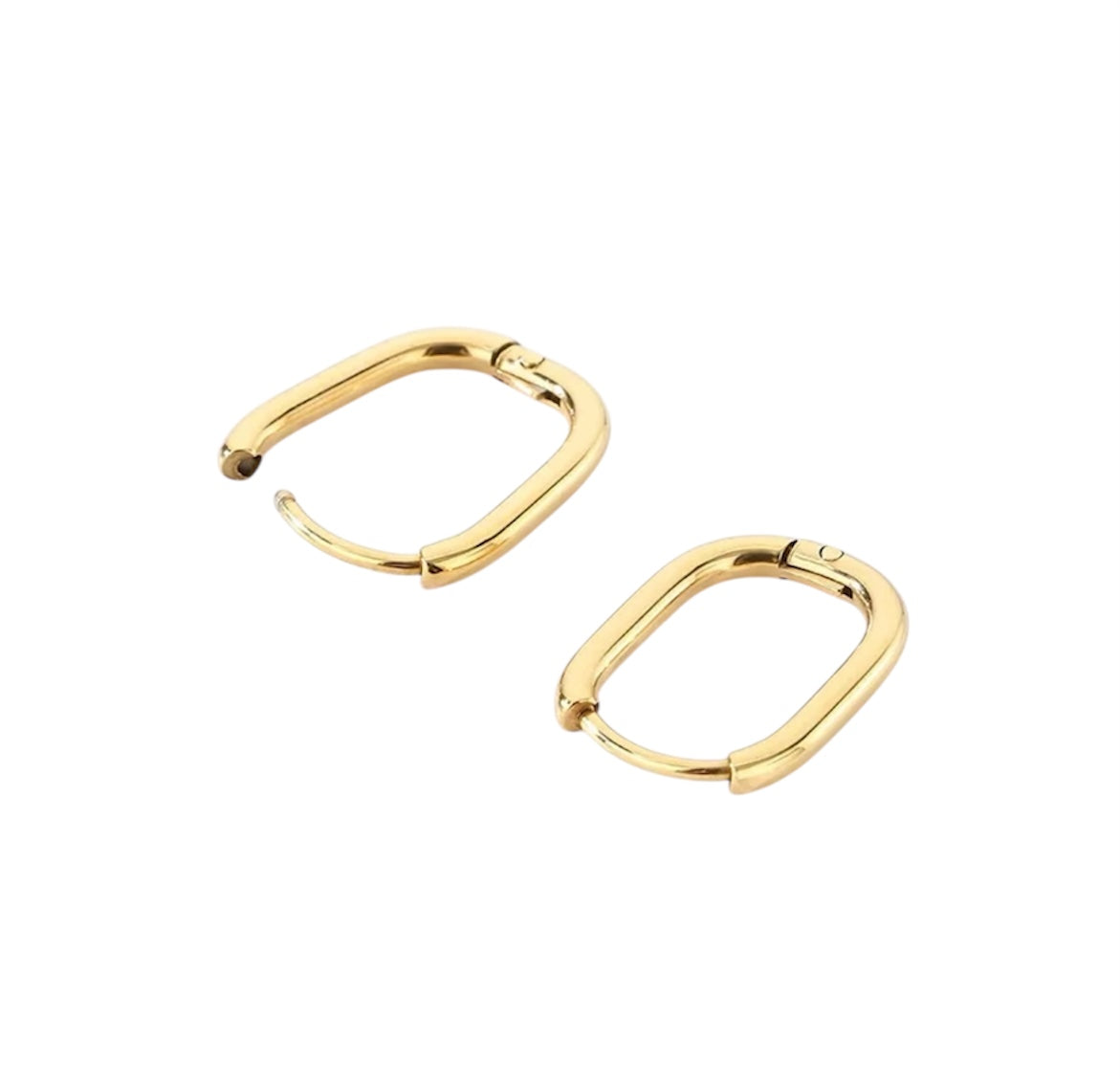Cara Oval Hoop Earrings